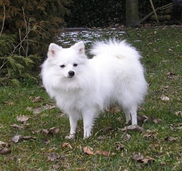 Bety Beskydská perla